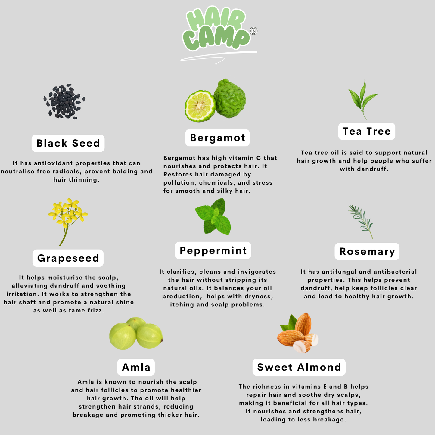 Glow ‘N’ Grow Hair Oil Bundle 100ML - Hair Oil, Hair Brush, Scalp Massager, Scrunchie Kit